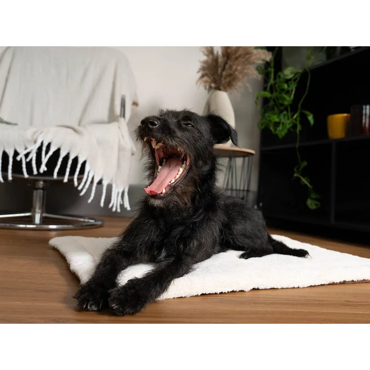 TrendPet Tierdecke Hundedecke "Relax", 100% Polyester, in verschiedenen Größen erhältlich – Bild 3