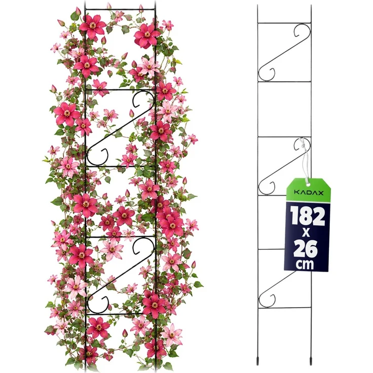 KADAX Pergola Metall Garten Blumenstütze für Blumen Rosen 180 cm Leiter – Bild 1