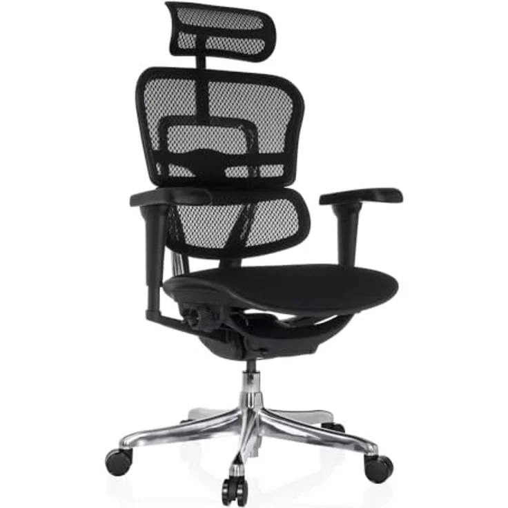 hjh OFFICE Bürostuhl ergonomisch ERGOHUMAN Ultra F GEN2 Originales Design, Bürosessel mit Flexibler Lendenwirbelstütze, Netzbespannung, Schwarz – Bild 1