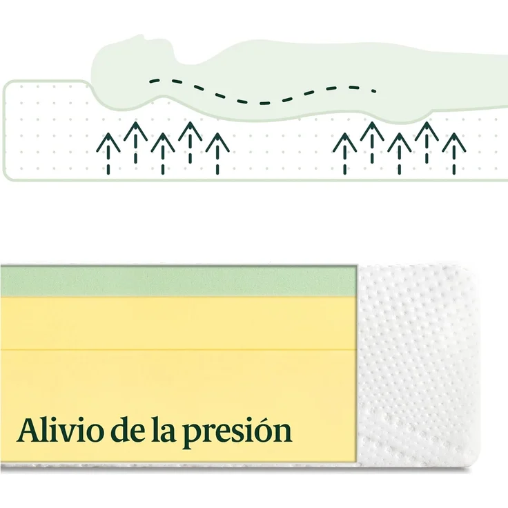 Zinus Essential Memory-Schaum-Matratze mit grünem Tee, anpassbar, 7 Zonen, 150x190 cm, Höhe 25 cm, günstig, Öko-Tex – Bild 4
