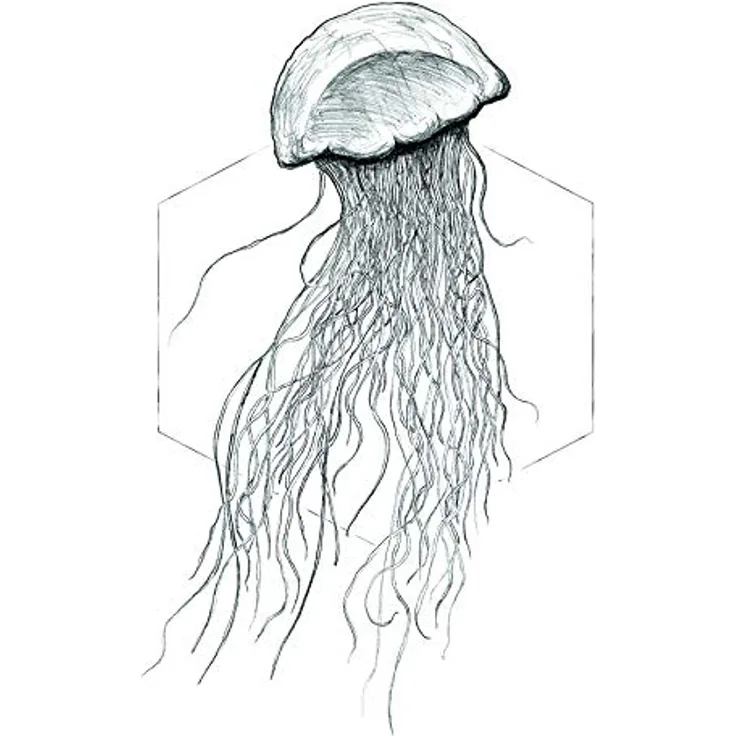Komar Wandbild Jellyfish White, Premium Kunstdruck auf Fotopapier, 40 x 50 cm, wasserfest und lichtbeständig, ohne Rahmen
