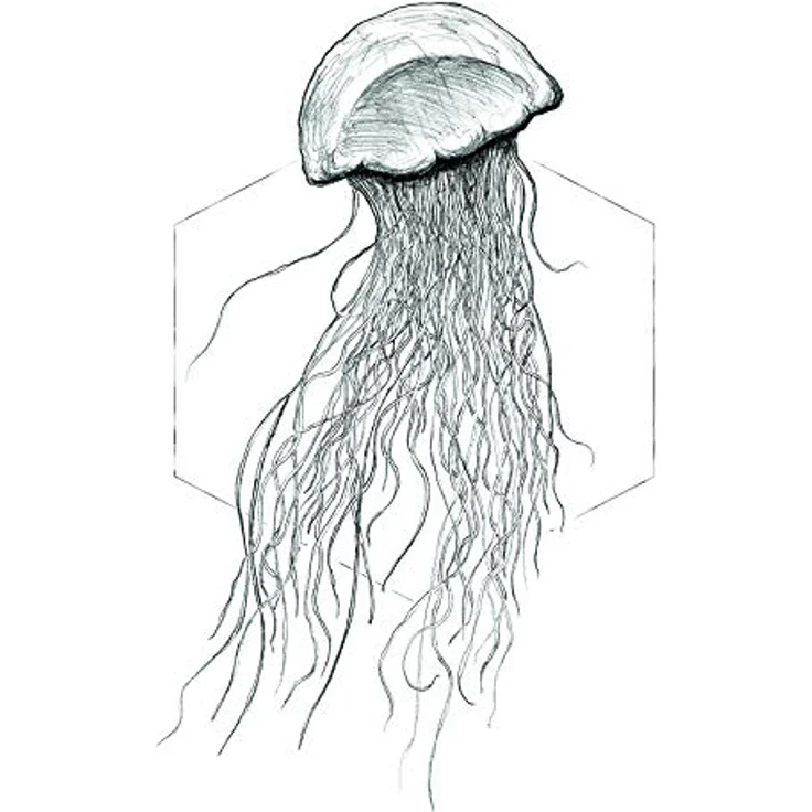 Komar Wandbild Jellyfish White, Premium Kunstdruck auf Fotopapier, 40 x 50 cm, wasserfest und lichtbeständig, ohne Rahmen – Bild 1
