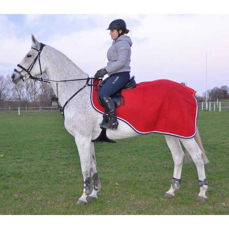 Horse Guard Pferde Nierendecke Nierenschutz Sattel Hinterblatt Ausreitdecke – Bild 3