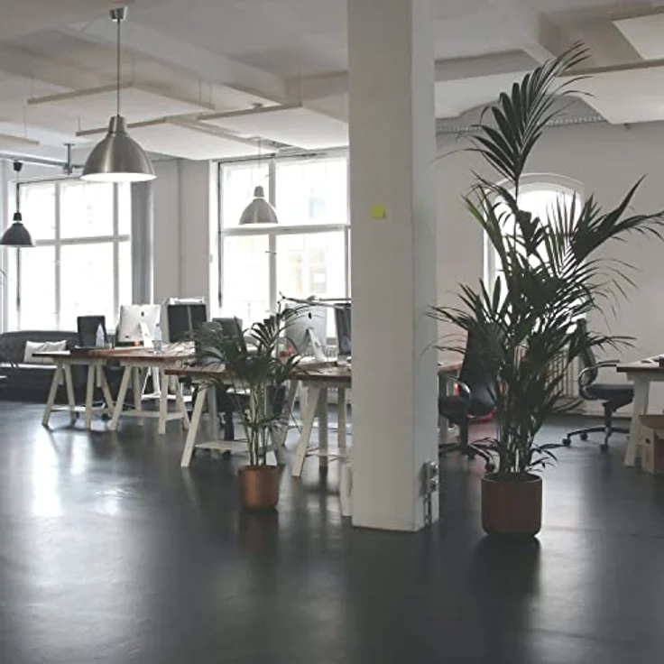OFITURIA Bürostuhl ohne Rollen, Stuhl aus Kunststoff mit Metallrahmen, Stuhl für Wartezimmer, Empfang, Tagungen, Konferenzen usw. (12 Stühle, weiß) – Bild 5