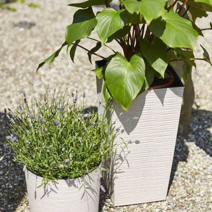 Pflanzgefäß LOCON GROOVE, creme Rillenoptik, Rillenoptik, Ø 25 x 25,5 cm Kunststoffgefäß mit Holzfaseranteil und Einsatz – Bild 3