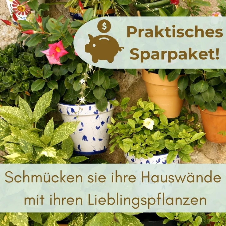 2er Set Blumentopf Wand Blumentopf Wandmontage Wandblumentopf Wandvasen für Pflanzen Pflanzen Wandhalterung Wandtopf Außenbereich Terrakotta – Bild 6