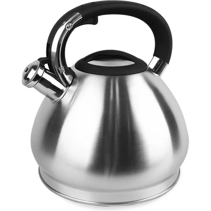 MR-1319 Maestro-Wasserkocher
