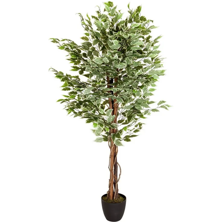 bümö plants Ficus Kunstbaum - Täuschend echte Birkenfeige, geruchlose Premium Kunstpflanze für lebendiges Ambiente - authentische, künstliche Pflanzen als Deko für's Wohnzimmer, Büro & mehr, BUP-ficus