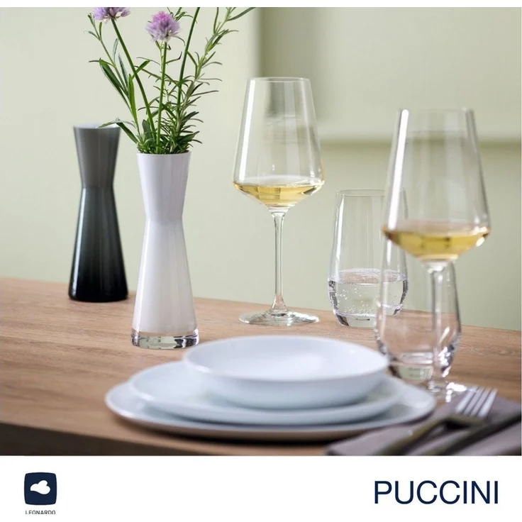 LEONARDO Weißweinglas Gläser-Set PUCCINI + Poliertuch, 7-teilig, Kristallglas, 6 Weisswein Gläser mit Poliertuch – Bild 3