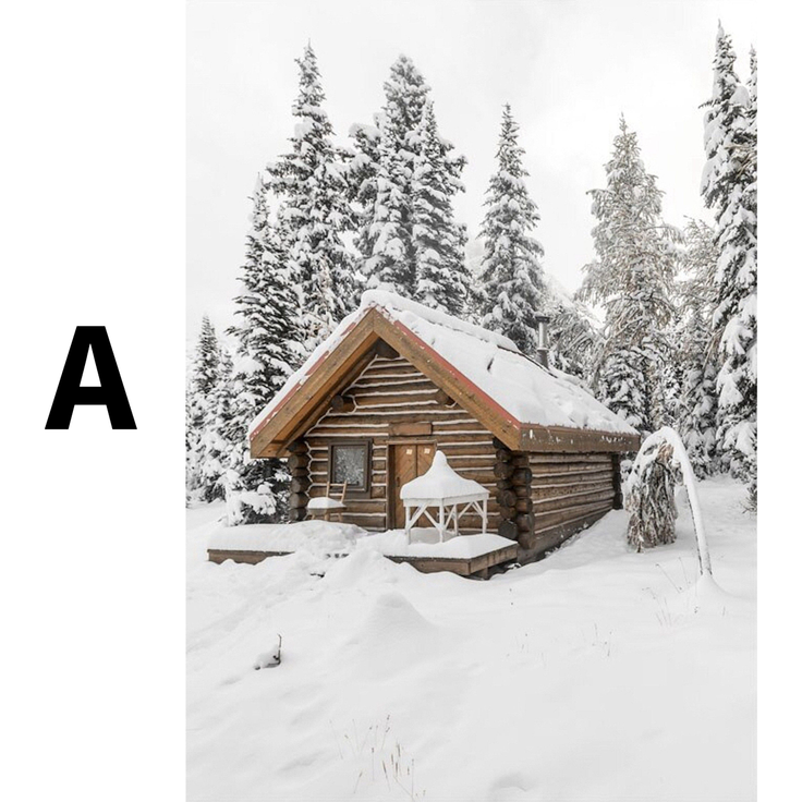 Winter Tannenzapfen Baumstämme Frostblätter Poster · Bilder Wohnzimmer · Wandbilder Schlafzimmer · Deko Print ohne Rahmen - A / 20x25 cm