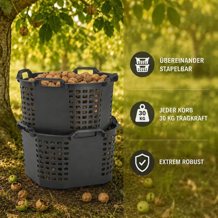 Erntekörbe Gartenkorb groß Lebensmittelecht 50L Obstkorb 54x31cm ineinander & übereinander stapelbar | Made in Germany als Obstkorb, Laubkorb und vielseitiger Erntekorb – Bild 4
