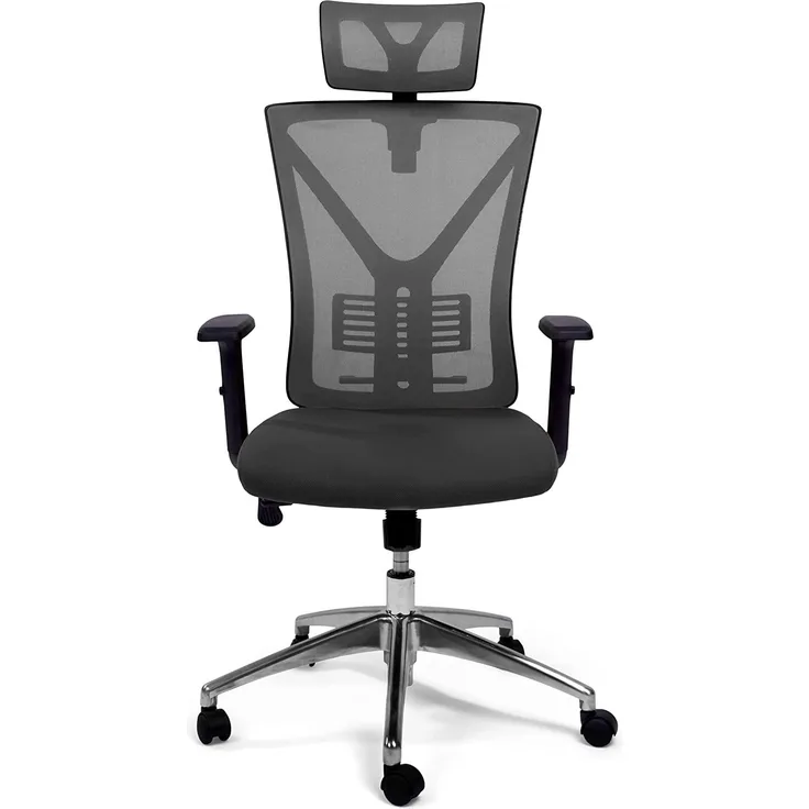 TPFLiving Premium XL Bürostuhl Zeus, ergonomischer Schreibtischstuhl | Inkl. verstellbare Lordosenstütze | Atmungsaktives Mesh-Material | Schwerlast Chefsessel | Belastbar bis 200 kg | Farbe: Grau