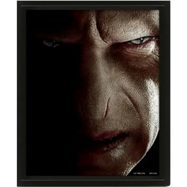 Pyramid International Harry Potter 3D Lenticular Poster (Harry vs Voldemort), 25cm x 20cm x 1.3cm im Rahmen, offizielles Lizenzprodukt