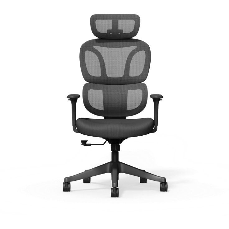 FlexiSpot BS5 Bürostuhl ergonomisch, mit Taillenstütze, 135° Neigung & modernem Design – frisch, bequem & online bestellbar