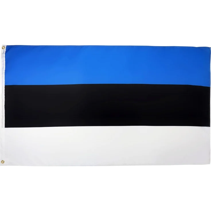 AZ FLAG - Flagge Estland - 150x90 cm - Estnische Fahne 90x150 Cm Feiner Polyester - Flaggen