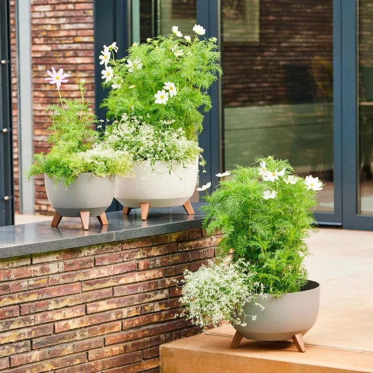 Siena Garden Pflanzgefäß OSLO, Kunststoff auf Füßen mit Einsatz creme 47 cm – Bild 3