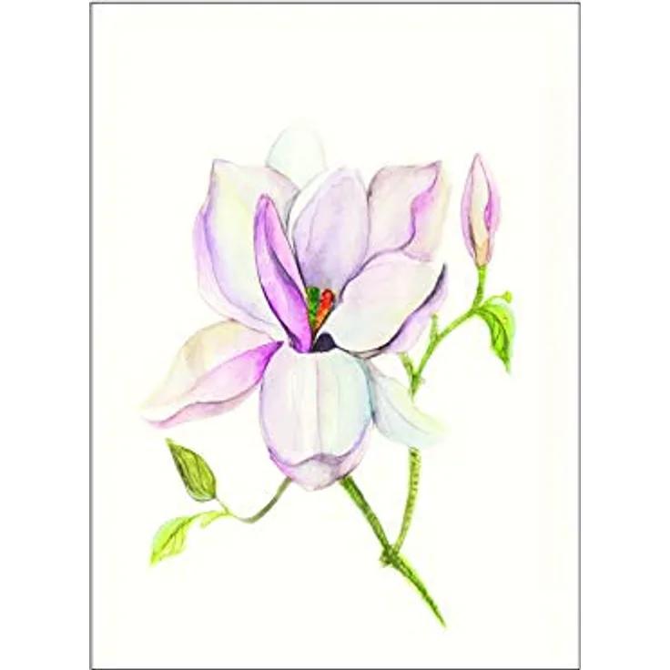 Komar Wandbild Magnolia Shine, Kunstdruck auf Premium-Poster Fotopapier, 40 x 50 cm, ohne Rahmen, lichtecht und wasserfest, für Wohnzimmer und Schlafzimmer