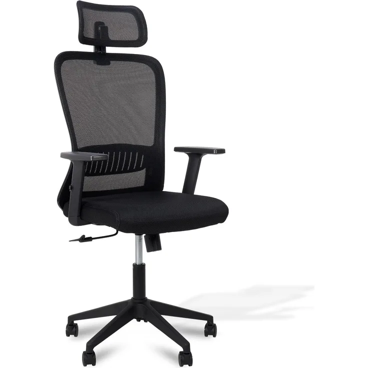 Brixy Ergonomischer Bürostuhl - Bürostühle Für Erwachsene - Voll verstellbar - Office Office Chair - Schwarz