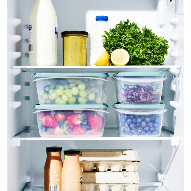 Rotho Kühlschrankdose Elements 2 L mistletoe grün