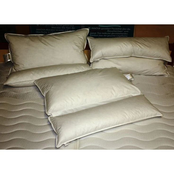 Betten Hofmann Premium Lesekissen Multifunktionskissen Kopfkissen Knickkissen 80x80 cm 30% Daunen – Bild 2