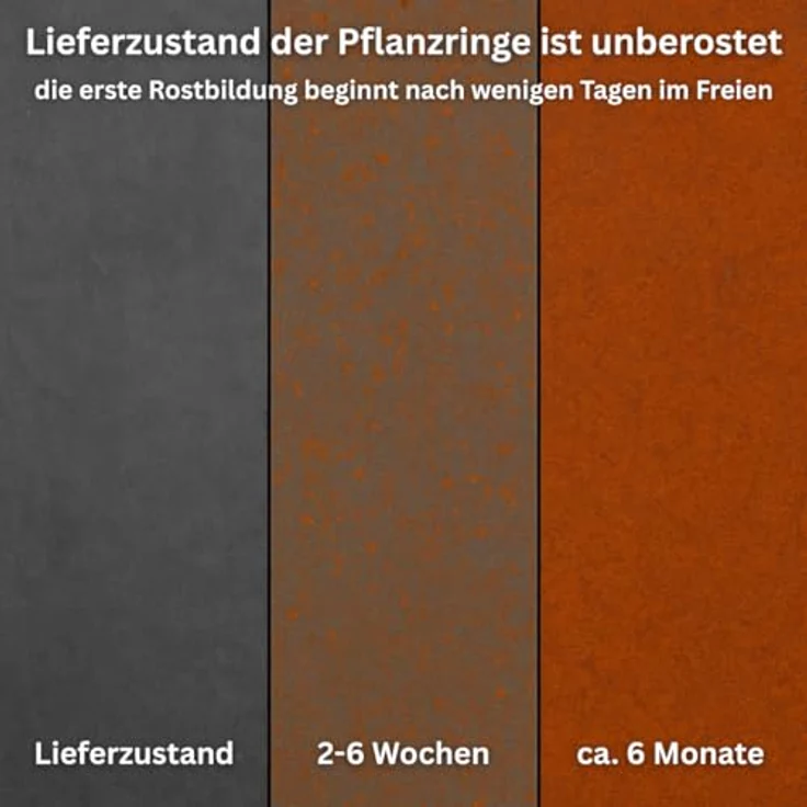Czaja Pflanzkübel Pflanzring Ø 100 cm Edelrost - Hochbeet Pflanzgefäß Pflanzkübel, unberostet geliefert, rostet mit der Zeit – Bild 4