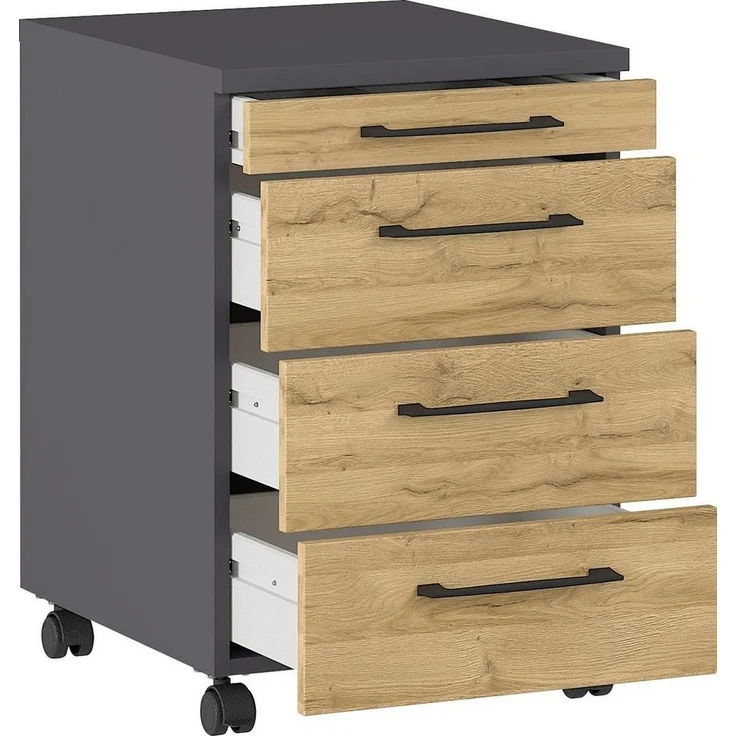 GERMANIA Rollcontainer Profi 3.0 – Bild 2