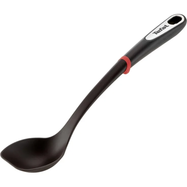Tefal Ingenio Spoon