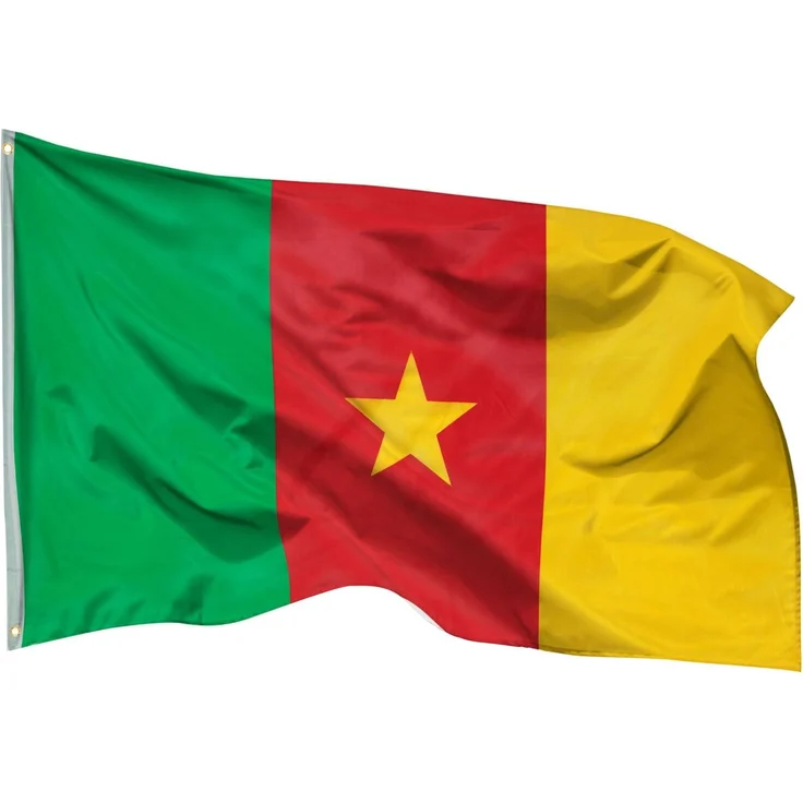 PHENO FLAGS Kamerun Flagge 90x150 cm - wetterbeständige Fahne mit Messingösen, 100% Polyester, robuste Doppelnaht & in lebendigen Farben - ideal für Flaggen-Liebhaber