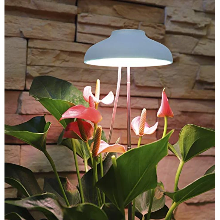 Northpoint Pflanzenlampe Northpoint LED Pflanzenleuchte Pflanzenlicht mit Teleskopstab – Bild 3