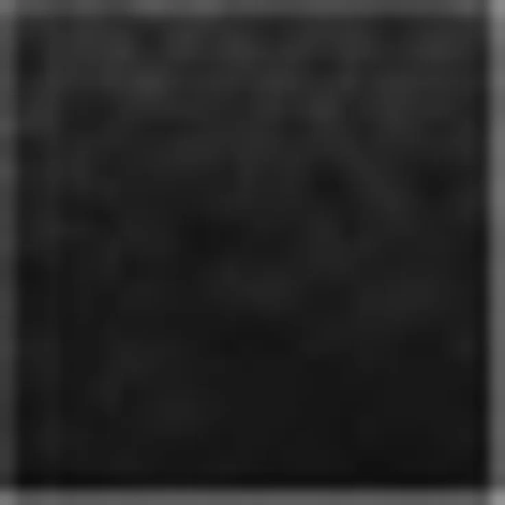 Kleine Wolke Handtücher Royal, 1 Stück (50/100 cm), Frottier (1-St), Uni Farben, mit Bordüre, weich, auch in verschiedenen Sets erhältlich – Bild 2