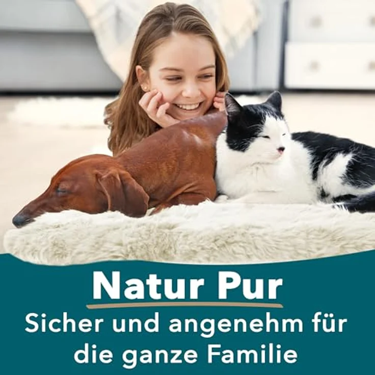 KARAT Lammfell echt - Ivory Flauschige Stuhlkissen Schaffell Deko Teppich für Wohzimmer & Kinderzimmer, Sitzauflage, Dekofell, mit Lederrücken 90x60 cm (Audrey) – Bild 7