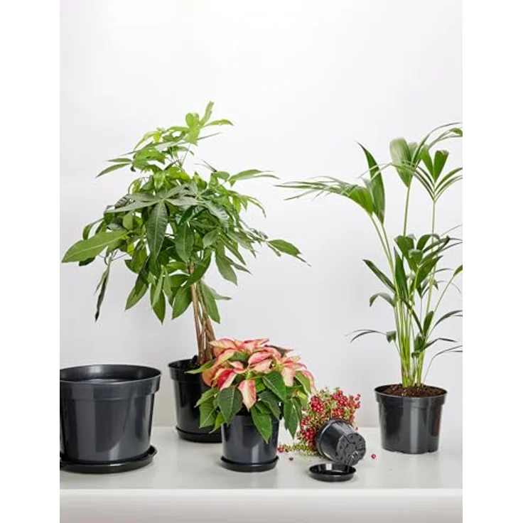 Garronda Blumentopfuntersetzer Blumentopf Untersetzer GD-0026, Zubehör für Blumentopf, 1-tlg. – Bild 4