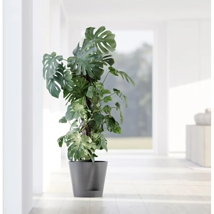 ECOPOTS Blumentopf Venice 2 30 Grau, für den Innenbereich – Bild 5