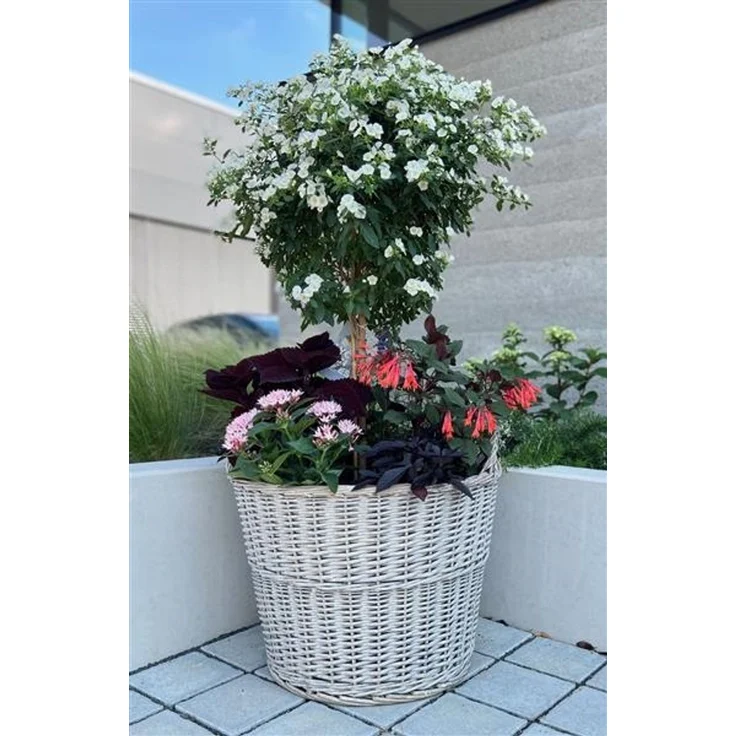Rattan Pflanzkorb "Rustikal" rund Ø 60x45 cm groß, grau, Outdoor Blumentopf, Pflanzkübel, Pflanztopf für Draußen, Blumenkübel – Bild 2
