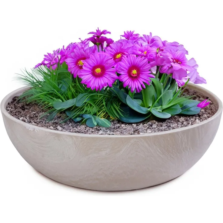 matches21 HOME & HOBBY Blumentopf Pflanzschalen für draussen Dekoschalen rund sand beige 25 cm (1 St), Blumen-Schale als wetterfeste Friedhof-Schale Grab-Schmuck Grabschale
