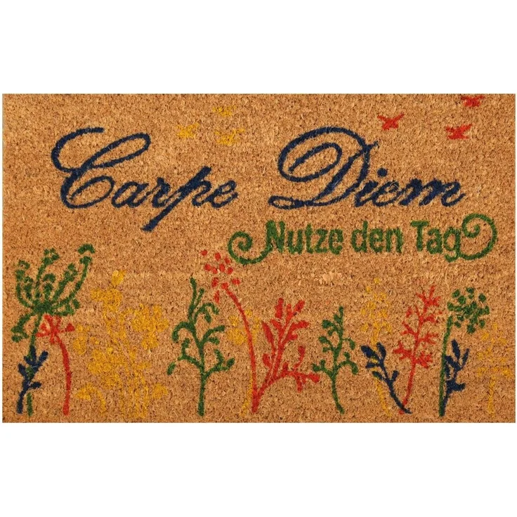 Bestlivings Fußmatte Kokos Schuhabtreter 40x60 cm ( Carpe Diem ), weitere Motive erhältlich – Bild 3