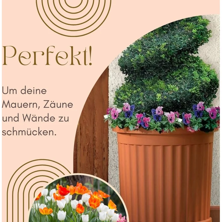 GarPet Pflanzkübel Pflanzkübel mit Unterssetzer Halbrund Pflanz Gefäß Blumen Groß Topf – Bild 3