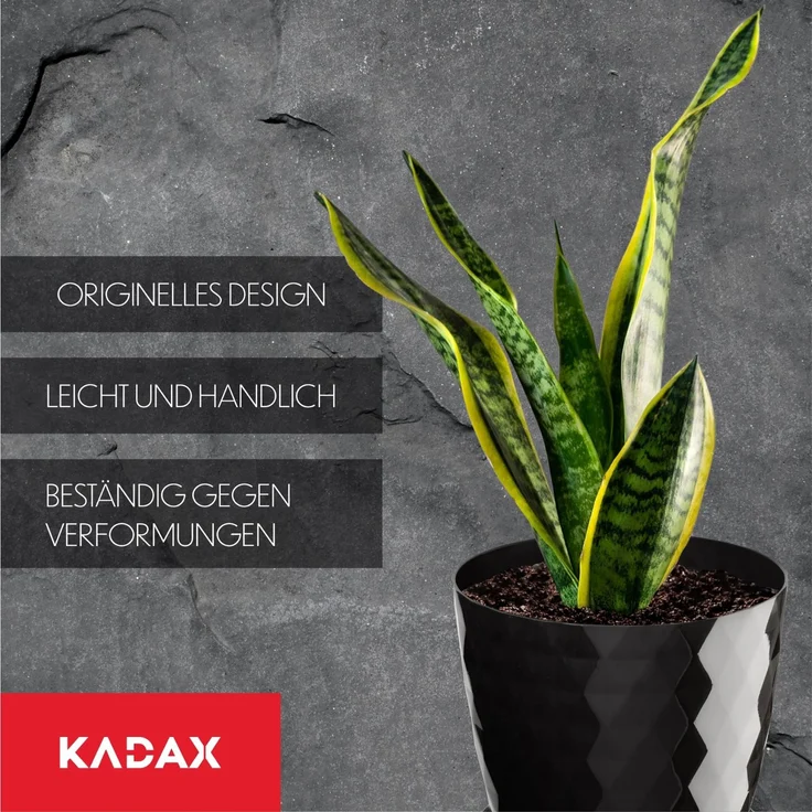 KADAX Blumentopf aus Kunststoff mit Ständer, Blumenabdeckung, 12 cm, Schwarz – Bild 6