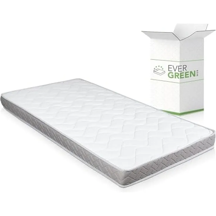 EVERGREENWEB Einzelmatratze für Schlafsofa, 12 cm hoch, orthopädische Wasserschaummatratze, hypoallergene und ergonimische Matratze mit weißem Bezug 100X190 – DAYBED