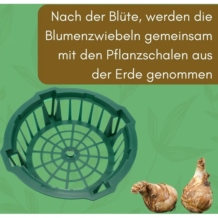 GarPet Pflanzschale 12er Set Pflanzkörbe für Blumenzwiebeln Zwiebel Pflanzschale 22 cm – Bild 5
