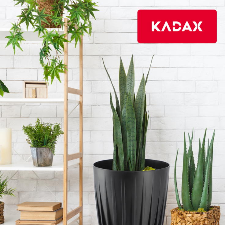 KADAX Blumentopf Eco Cover + schwarzer Einsatz 30x36 cm – Bild 9