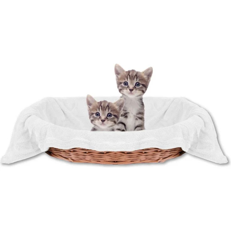 Haustierdecke Katzendecke Kuscheldecke Tierdecke , angenehm und super weich in vielen verschiedenen Farben erhältlich (70x100 cm / weiß - creme) – Bild 1