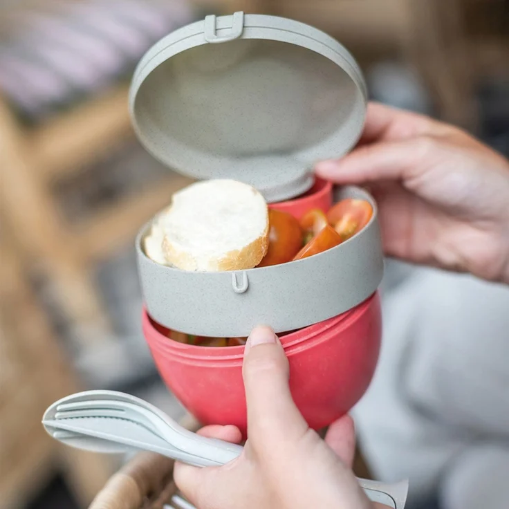Koziol Bentobox M nature coral – Bild 3