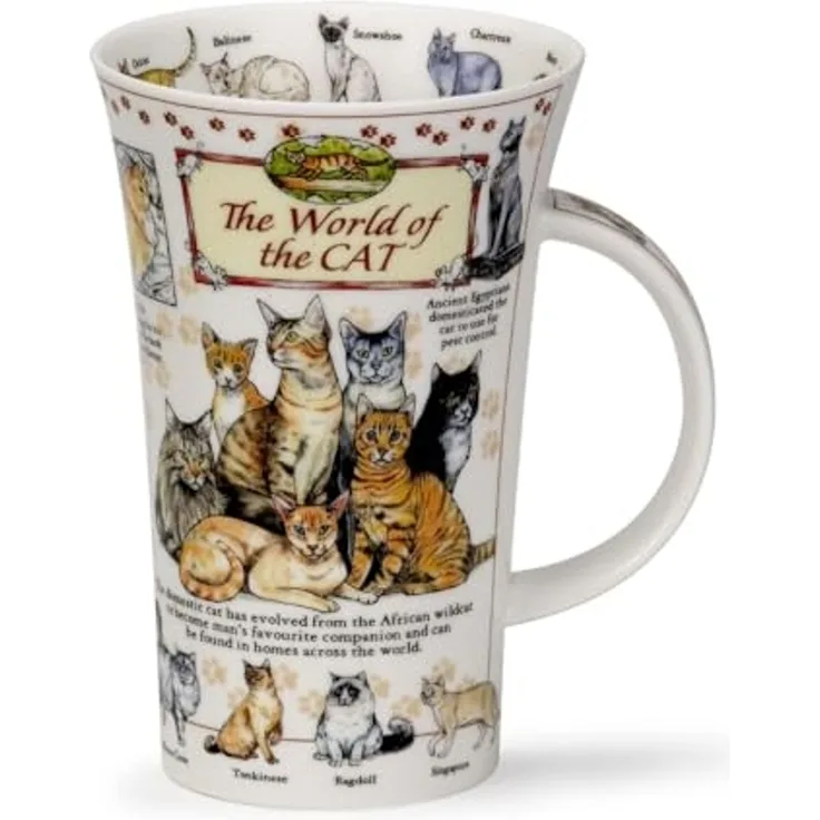 Becher Glencoe, "World of the Cat"