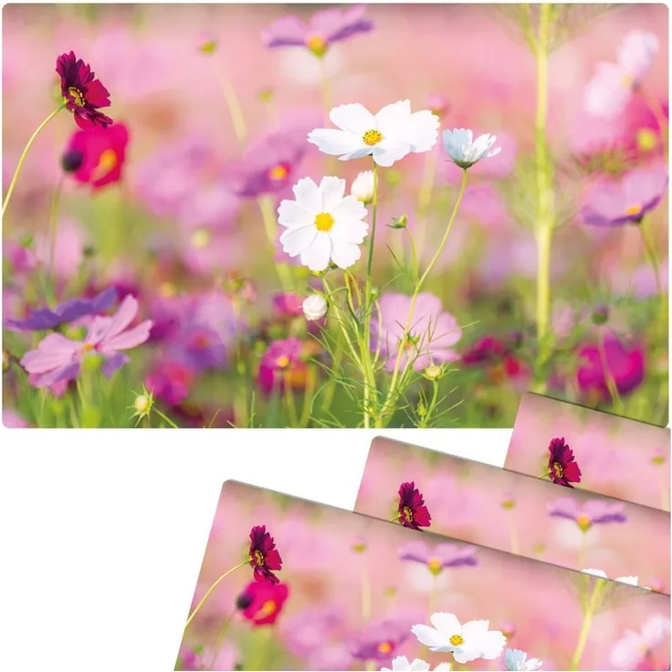 matches21 HOME & HOBBY Platzset Abwaschbare Tischsets 4er Set Blumen-Wiese pink weiß, (4-St), Platzsets als Tisch-Untersetzer und Tisch-Deko für Esstisch Teller
