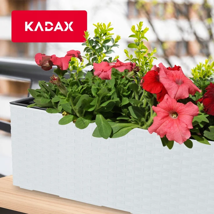 KADAX Blumentopf Balkonkasten + Einsatz 19x56cm Weiß – Bild 7