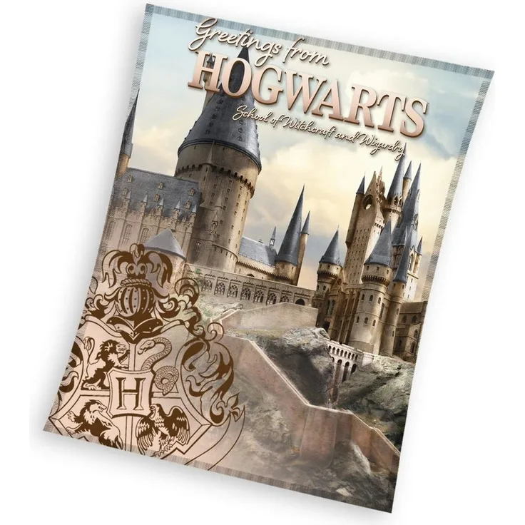 Wohndecke Harry Potter Fleecedecke Kuscheldecke 130x160 cm, Harry Potter