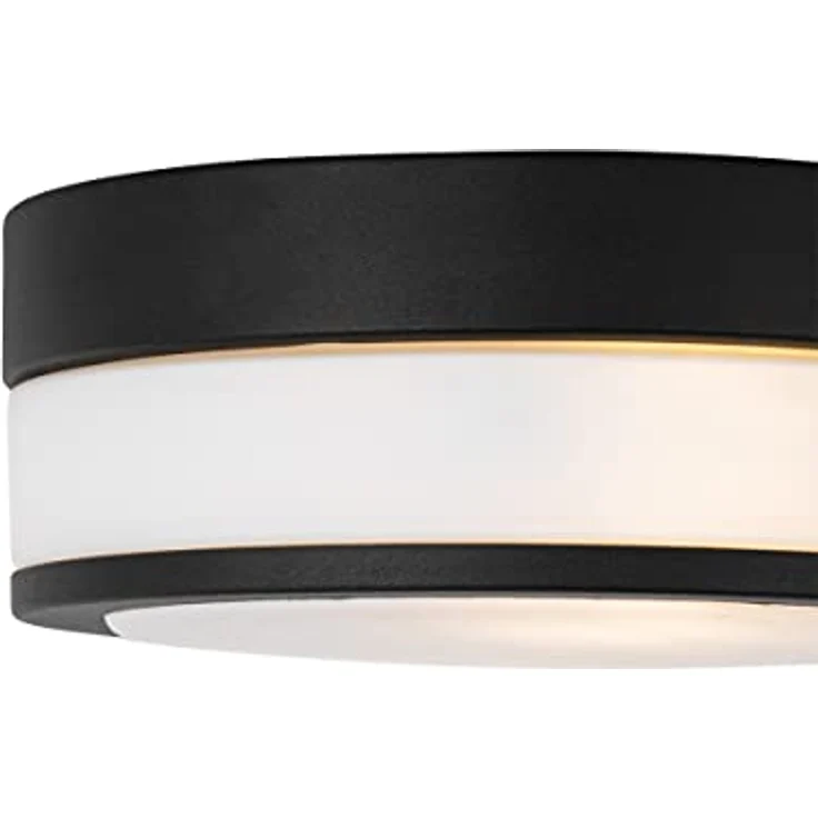 Qazqa Flavi, Moderne 2-flammige Bad- und Außen-Deckenleuchte, schwarz, IP44, E27, dimmbar, Stahl rund – Bild 3