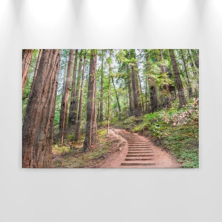 Leinwandbild Wald Pfad Grün Braun 90x60 DD120304 Keilrahmen Wandbild Leinwand – Bild 8