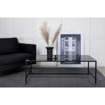 Livetastic Couchtisch, Schwarz und Messing, rechteckig mit Glasplatte, 60x48x130 cm, einfacher Aufbau